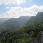 leon picos de europa